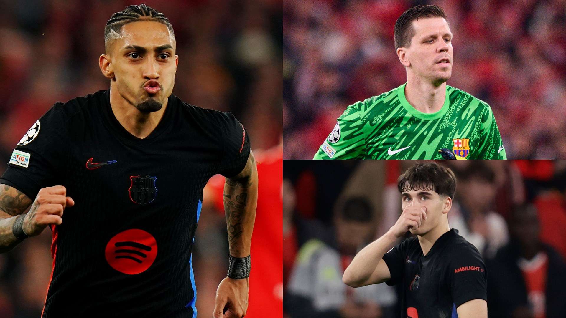 析可以看出 析可以看出