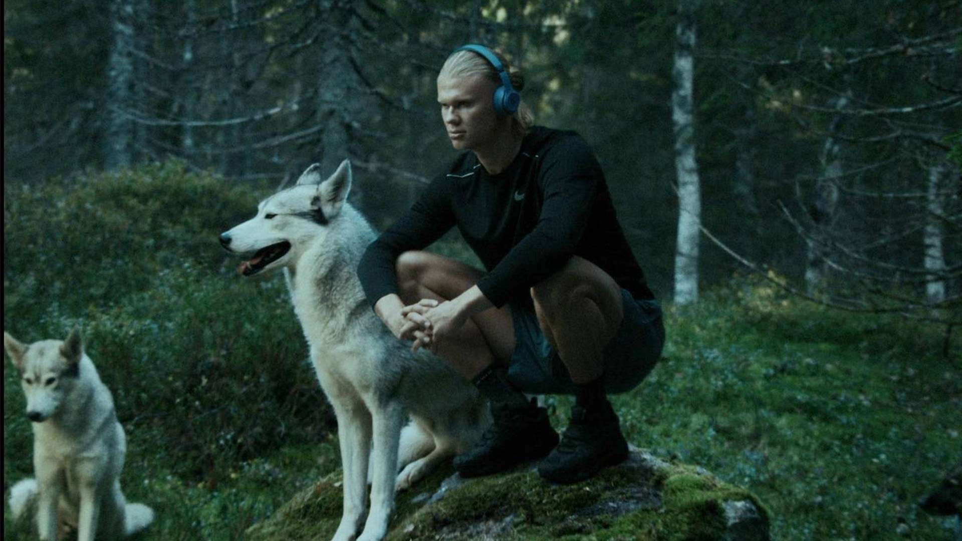 击成功的历 击成功的历